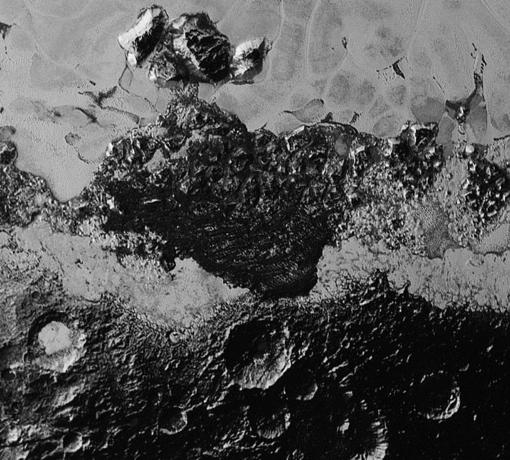 Incredible Diversity